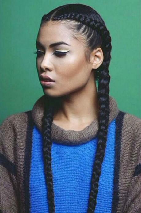 Two braid hairstyle two-braid-hairstyle-36_11