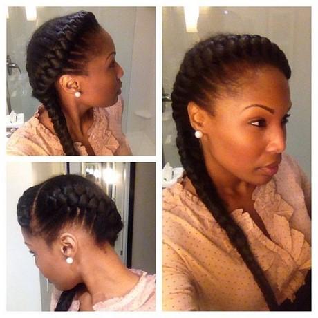 Two braid hairstyle two-braid-hairstyle-36_19