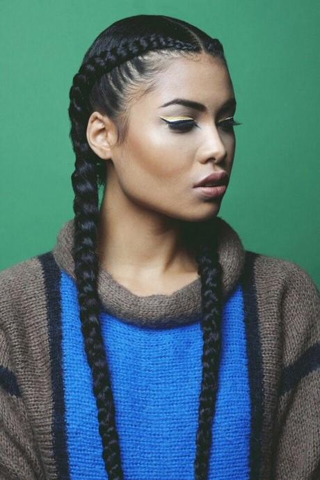 Two braid hairstyle two-braid-hairstyle-36_2
