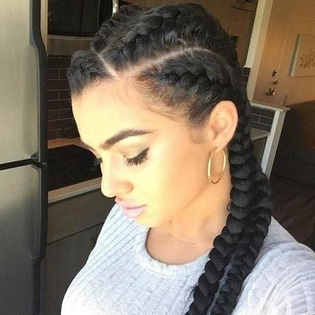 Two braid hairstyle two-braid-hairstyle-36_9