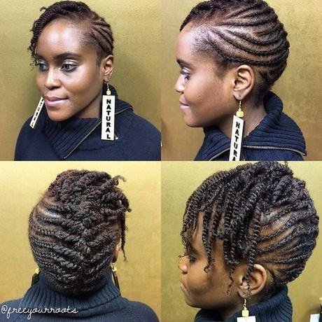 African american braided hairstyles african-american-braided-hairstyles-14_13