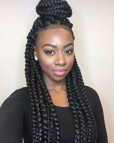 African american braided hairstyles african-american-braided-hairstyles-14_3