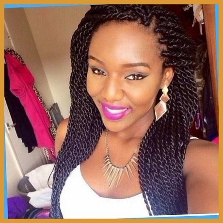 African american braided hairstyles african-american-braided-hairstyles-14_8