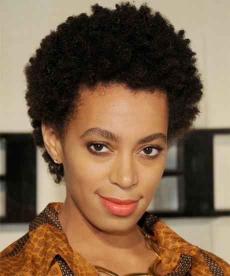 African american natural hairstyles african-american-natural-hairstyles-38_15