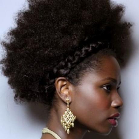 Afro hairstyles with braids afro-hairstyles-with-braids-73_10