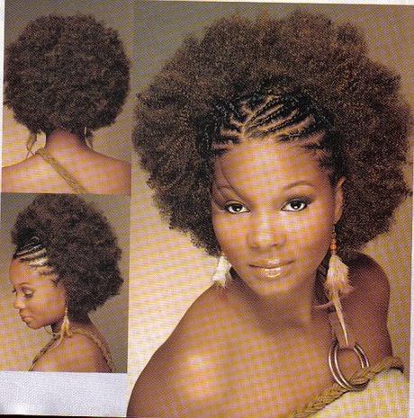 Afro hairstyles with braids afro-hairstyles-with-braids-73_20