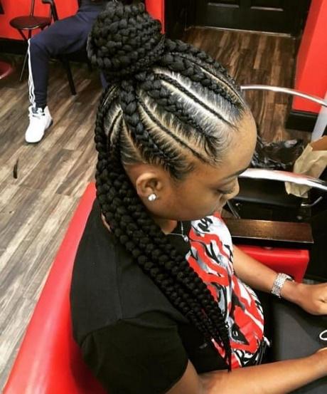 Afro hairstyles with braids afro-hairstyles-with-braids-73_7