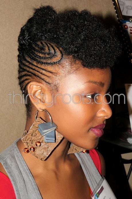 Afro hairstyles with braids afro-hairstyles-with-braids-73_8