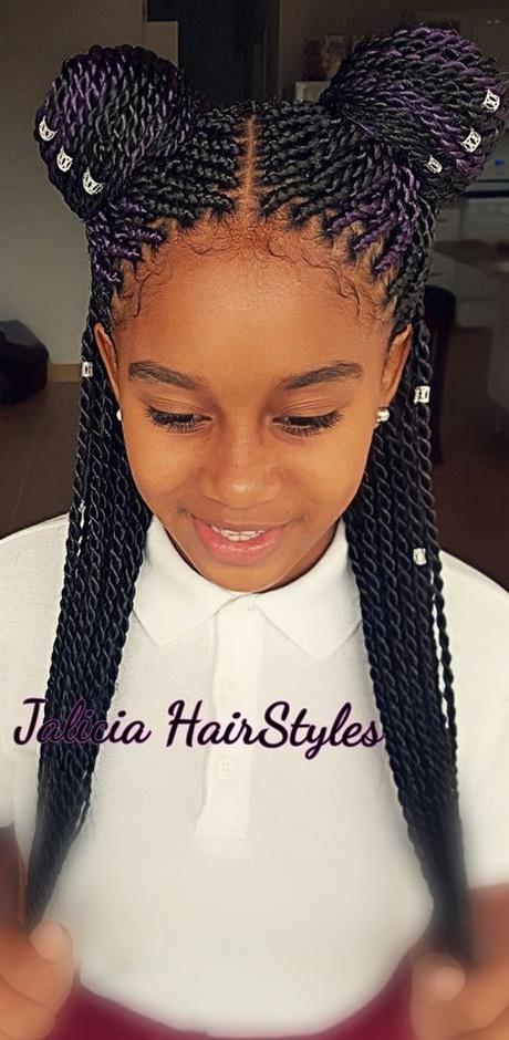 Braided hairstyles for african hair braided-hairstyles-for-african-hair-53_19