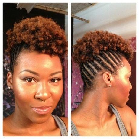 Braided hairstyles for african hair braided-hairstyles-for-african-hair-53_4