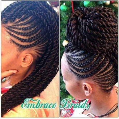 Braided hairstyles for african hair braided-hairstyles-for-african-hair-53_5