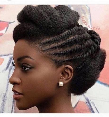 Hairstyles for african hair hairstyles-for-african-hair-79_4