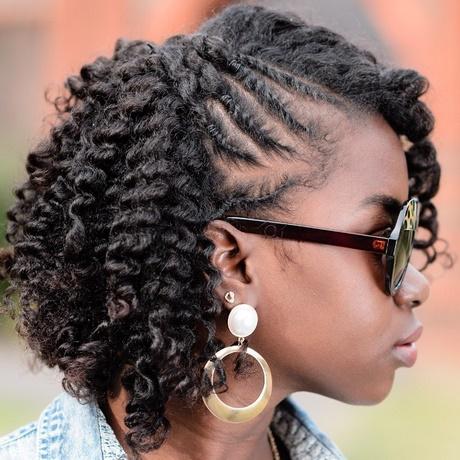Hairstyles for african hair hairstyles-for-african-hair-79_7