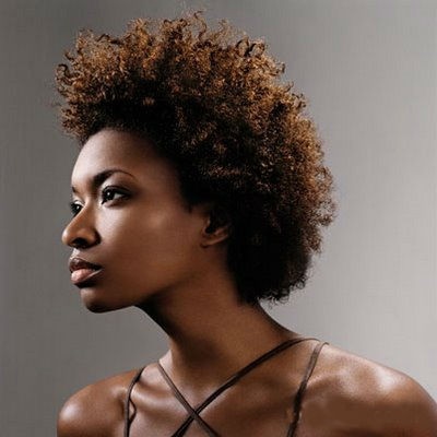 Natural hairstyles for african american women natural-hairstyles-for-african-american-women-39