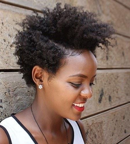 Natural hairstyles for african american women natural-hairstyles-for-african-american-women-39_10