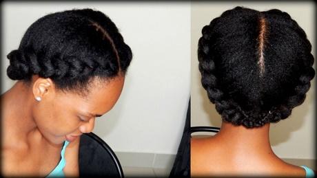 Pictures of braided hair pictures-of-braided-hair-58_19