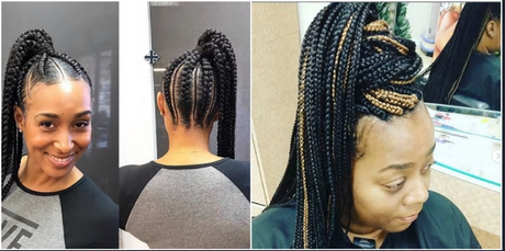 Braids hairstyle 2019 braids-hairstyle-2019-43