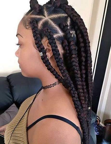 Latest braid hairstyle 2019
