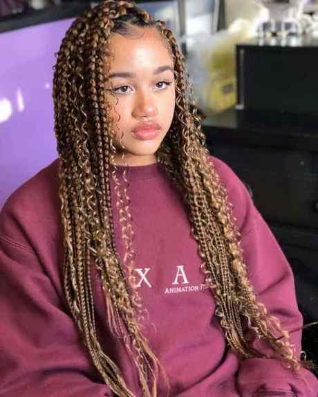 African hair braiding styles 2023 african-hair-braiding-styles-2023-16_3