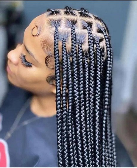 Trending braided hairstyles 2023 trending-braided-hairstyles-2023-23_5