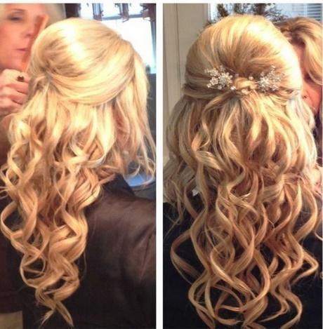 Pictures of hairstyles for prom pictures-of-hairstyles-for-prom-87_20