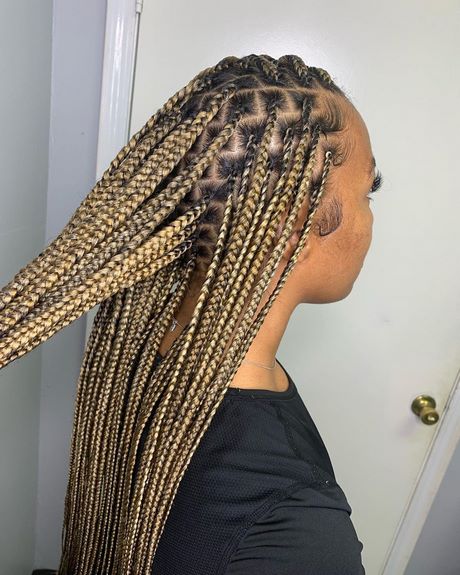 Black hairstyles 2020 braids