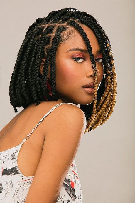 Plaits hairstyles 2020 plaits-hairstyles-2020-85_13