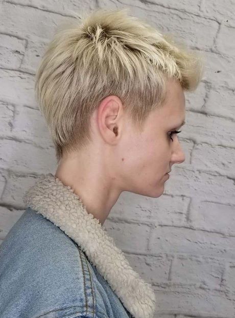 Short pixie hairstyles for 2020 short-pixie-hairstyles-for-2020-62_16