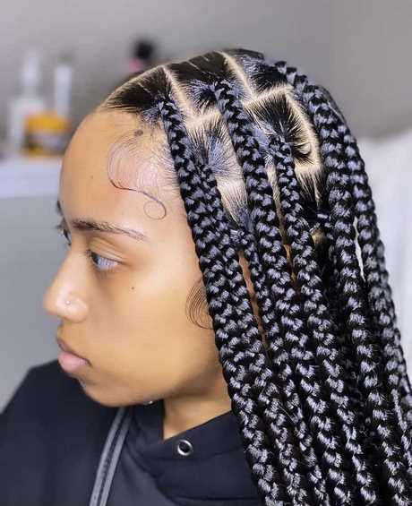 2021 braiding hairstyles 2021-braiding-hairstyles-21_15