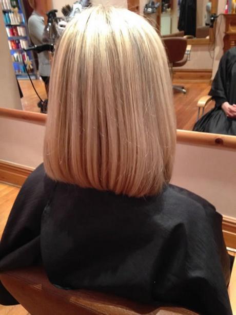Back view of shoulder length hair back-view-of-shoulder-length-hair-15_6