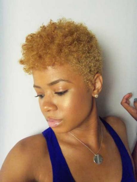 Short blonde haircuts for black women short-blonde-haircuts-for-black-women-90_12