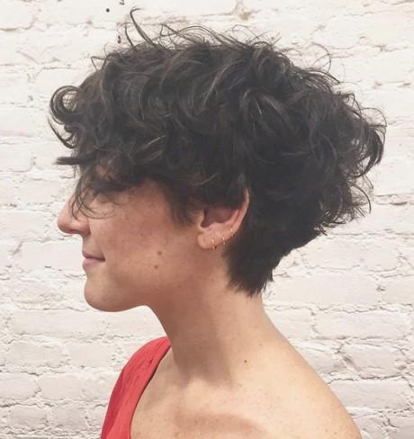 Haircuts for extremely curly hair haircuts-for-extremely-curly-hair-37_9