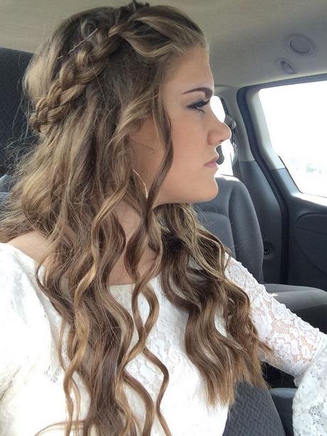 Prom hairstyles for long hair down with braids prom-hairstyles-for-long-hair-down-with-braids-37_13