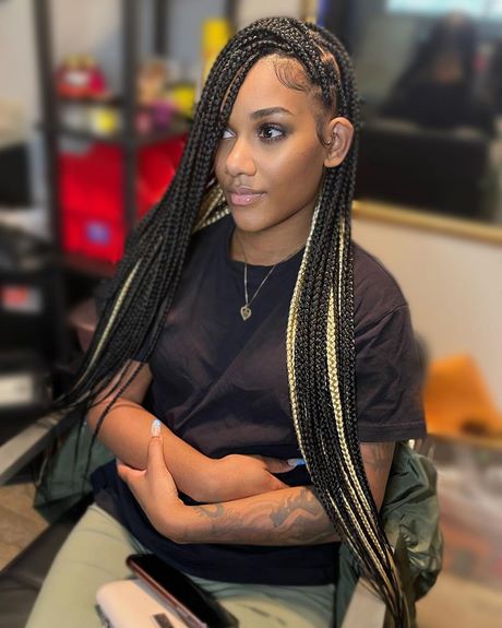 Styles for braids 2022 styles-for-braids-2022-15_11