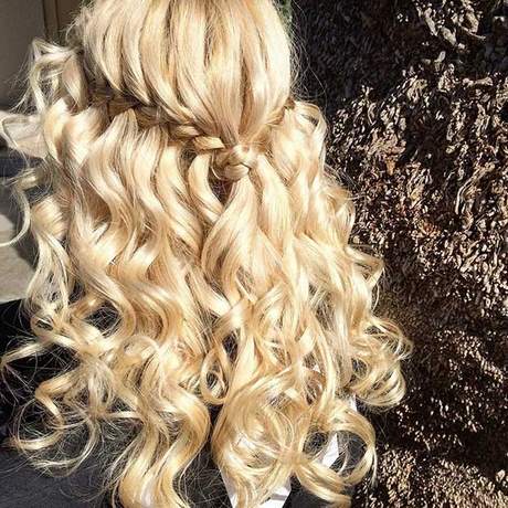 Curly hairstyles half up half down with braid curly-hairstyles-half-up-half-down-with-braid-35_13