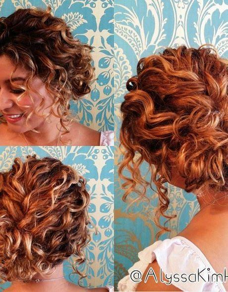 Half up hairstyles for curly hair half-up-hairstyles-for-curly-hair-07_10
