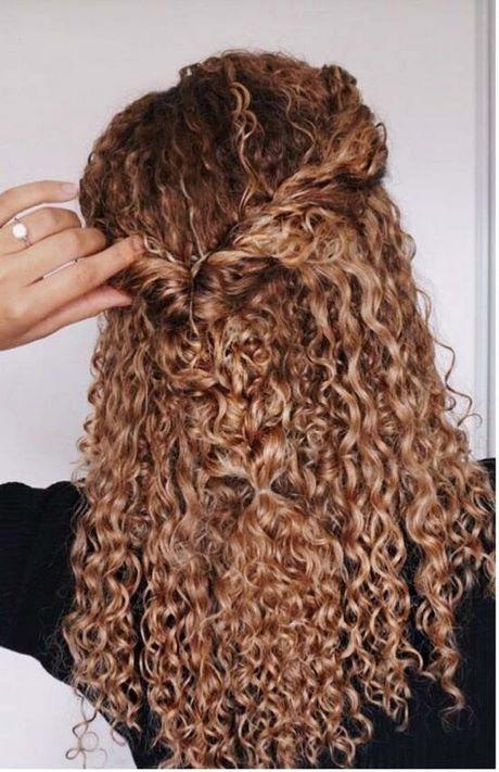 Half up long curly hairstyles half-up-long-curly-hairstyles-33_4