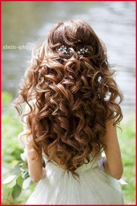Long curly half up hairstyles long-curly-half-up-hairstyles-17_17