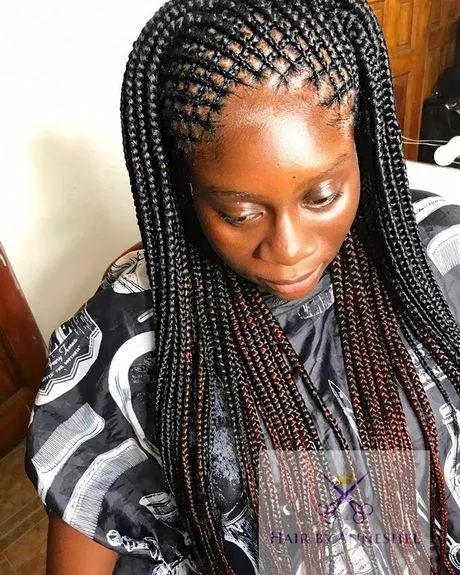 African hair braiding and styles african-hair-braiding-and-styles-21_16-8-8