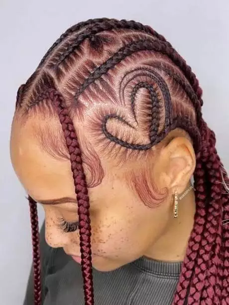 Braids hairstyles for adults braids-hairstyles-for-adults-76_6-12-12