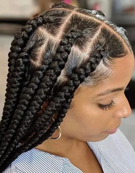Female braided hairstyles female-braided-hairstyles-67_11-3-3