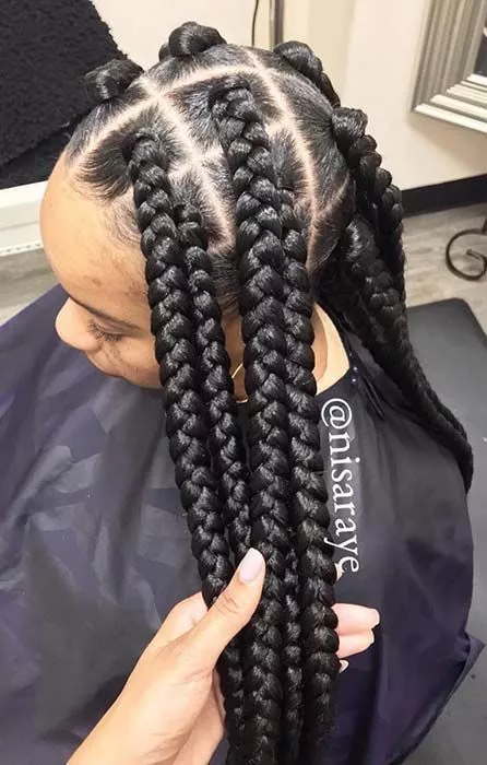 Large braids hairstyles large-braids-hairstyles-40_14-7-7