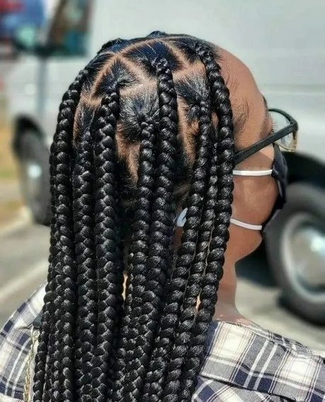 Large braids hairstyles large-braids-hairstyles-40_15-8-8