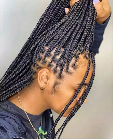 Show me braided hairstyles show-me-braided-hairstyles-99_9-17-17