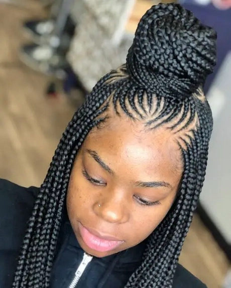 The latest braids hairstyles the-latest-braids-hairstyles-59-1-1