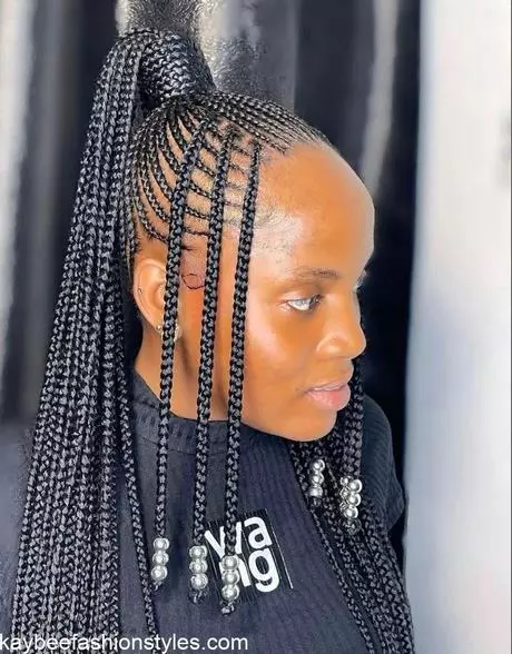The latest braids hairstyles the-latest-braids-hairstyles-59_12-5-5