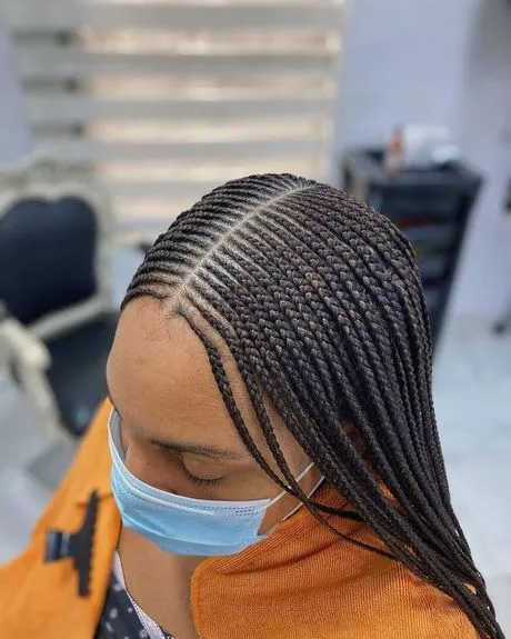 The latest braids hairstyles the-latest-braids-hairstyles-59_13-6-6