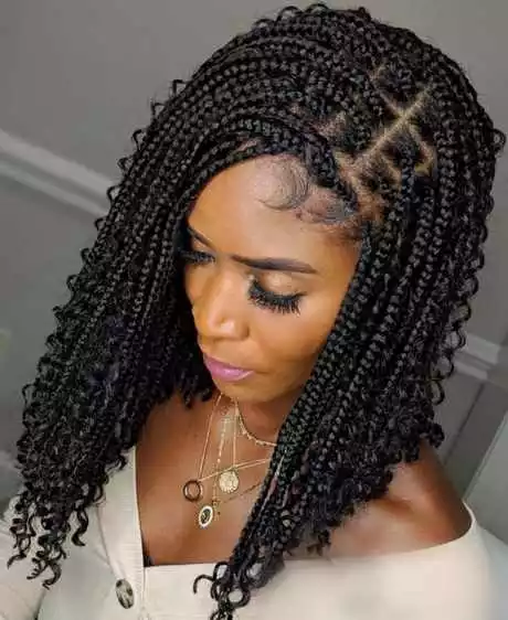 The latest braids hairstyles the-latest-braids-hairstyles-59_5-13-13