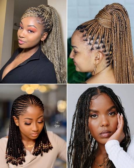 Braids in style