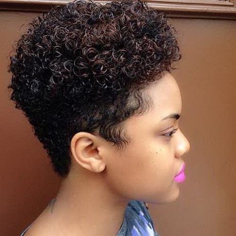 Afro b hairstyles afro-b-hairstyles-41_9